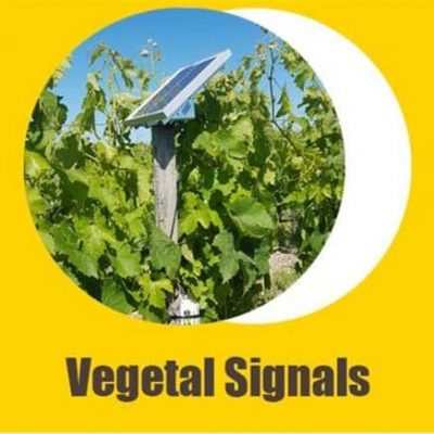 Capteur vegetal signals